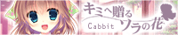 Cabbit 第二弾！「キミへ贈る、ソラの花」応援中！