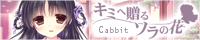 Cabbit eIuL~֑A\̉ԁvI